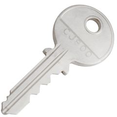 Ronis France & Dom Coin Locker Master & Removal Key Set
Master Keys Inlcuded: CJ800 , CL800 & AJ800
Removal Keys Included : CJ900
Ideal for schools and site managers.