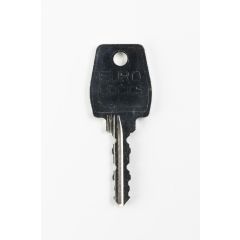 Replacement Eurolocks, Elite Lockers & Emka Keys
Codes 45001 - 49000
Master Key - 45A